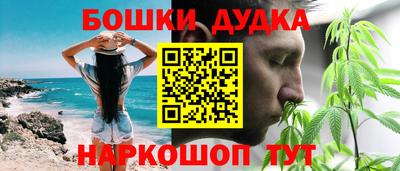 гашик Будённовск