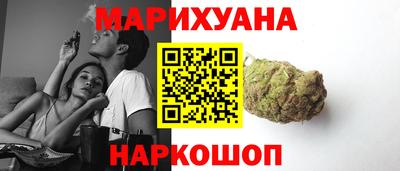 гашик Будённовск