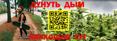 гашик Будённовск