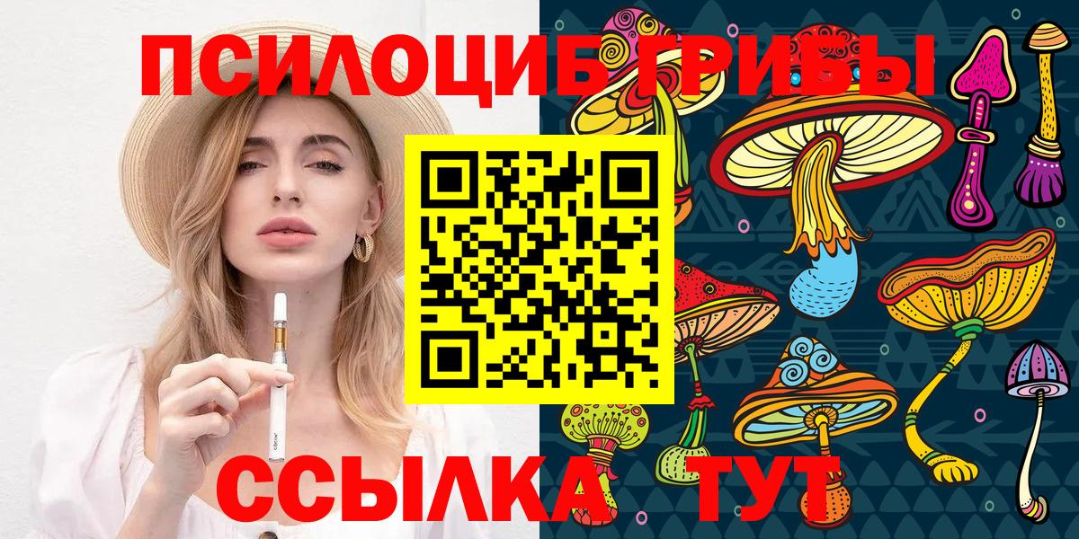 Мичуринск  Галлюциногенные грибы мухоморы  Галлюциногенные грибы мицелий  Вход с VPN 
