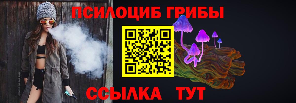 Псилоцибиновые грибы ЛСД Мичуринск