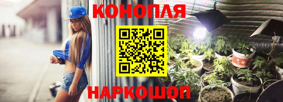 МАРИХУАНА гибрид Мичуринск